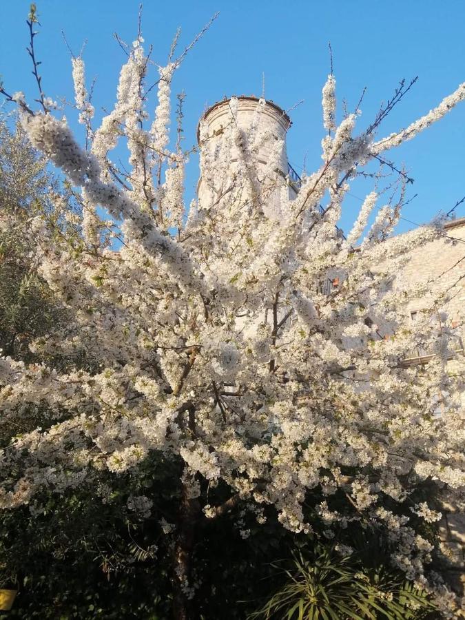 B&B Vicidomini San Marco dei Cavoti Екстериор снимка
